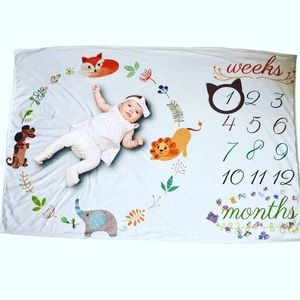 Unique baby blanket w/ milestone months and frame
